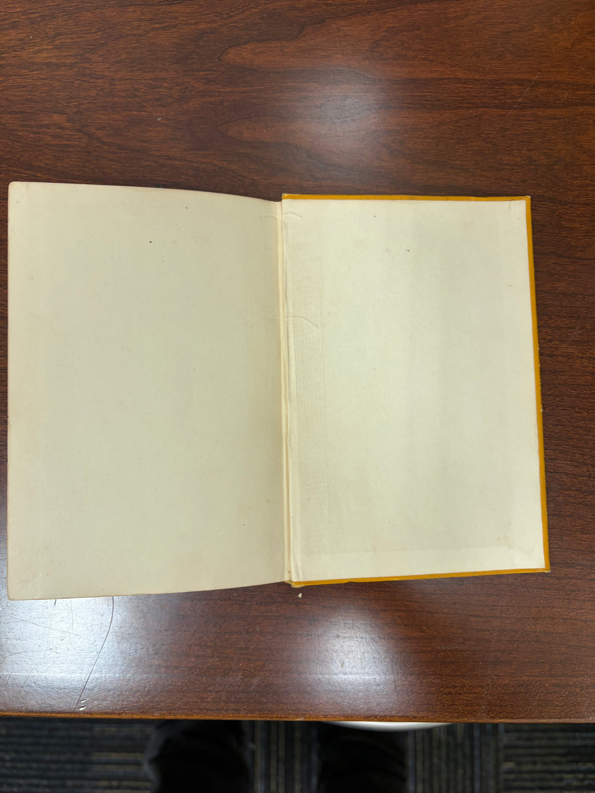 The Magnet by Lida A. Churchill | Hardcover